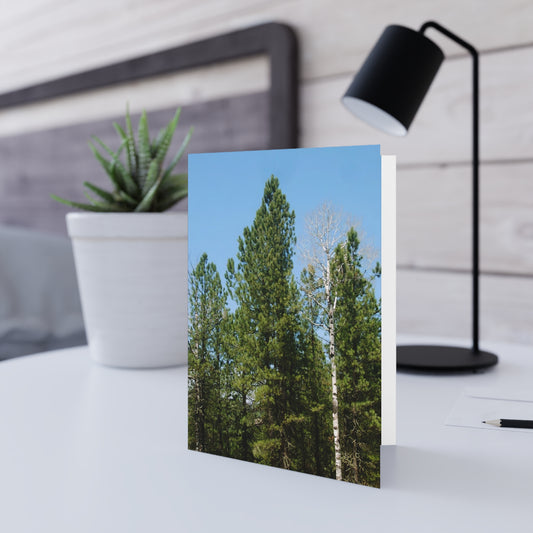Blank Inside, Nature-Inspired Greeting Card, Thoughtful Note Cards, Perfect for All Occasions