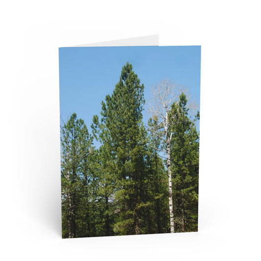 Blank Inside, Nature-Inspired Greeting Card, Thoughtful Note Cards, Perfect for All Occasions
