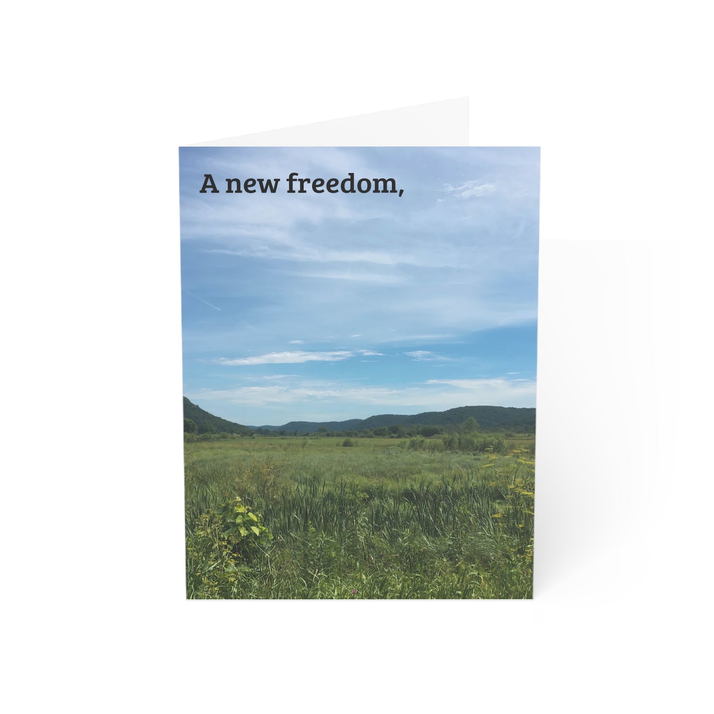 Congratulations, Freedom
