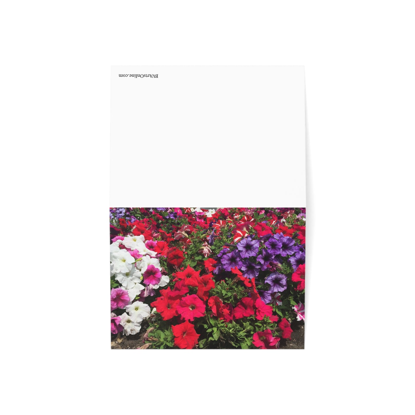 Blank Inside, Flower Greeting Card, Thoughtful Note Cards, Perfect for All Occasions