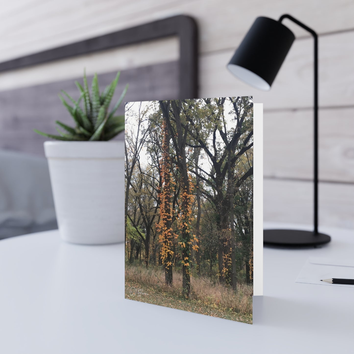 Blank Inside, Nature-Inspired Greeting Card, Thoughtful Note Cards, Perfect for All Occasions