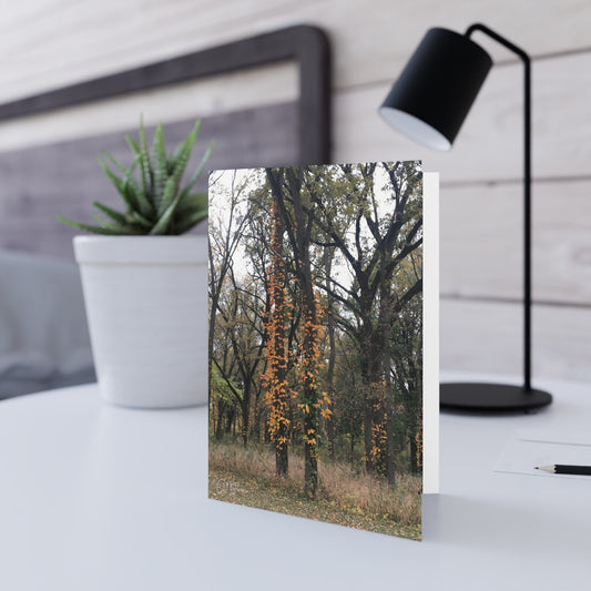 Blank Inside, Nature-Inspired Greeting Card, Thoughtful Note Cards, Perfect for All Occasions