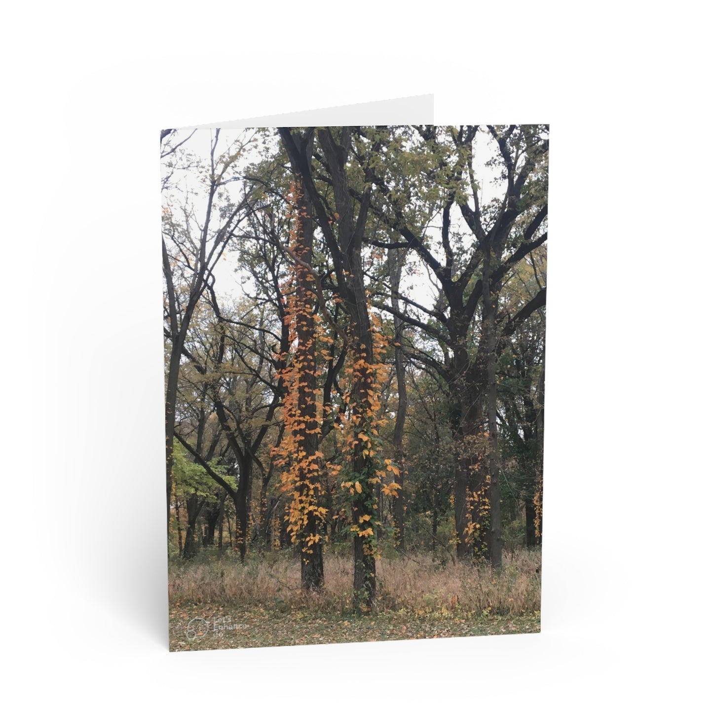 Blank Inside, Nature-Inspired Greeting Card, Thoughtful Note Cards, Perfect for All Occasions