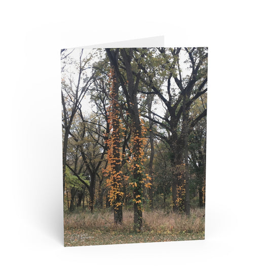 Blank Inside, Nature-Inspired Greeting Card, Thoughtful Note Cards, Perfect for All Occasions
